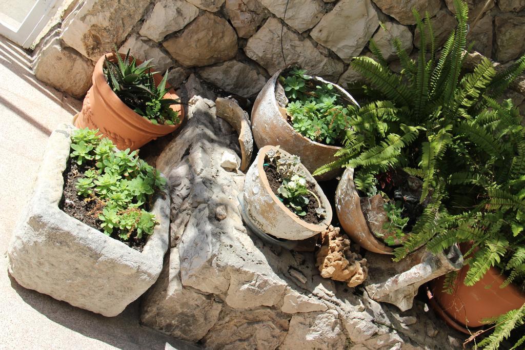 Apartment Tasina Đảo Hvar Ngoại thất bức ảnh